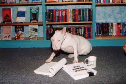 Bella, a terrier, sits on the floor of a bookstore, mug of coffee at paw, manuscript "When Evil Changes Face" in front of her.